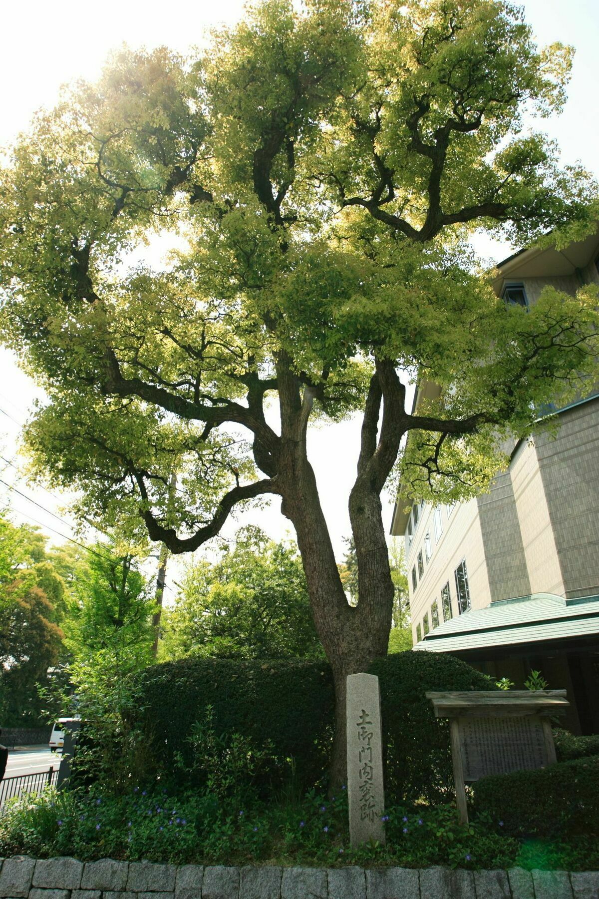 Kyoto Garden Palace Eksteriør bilde