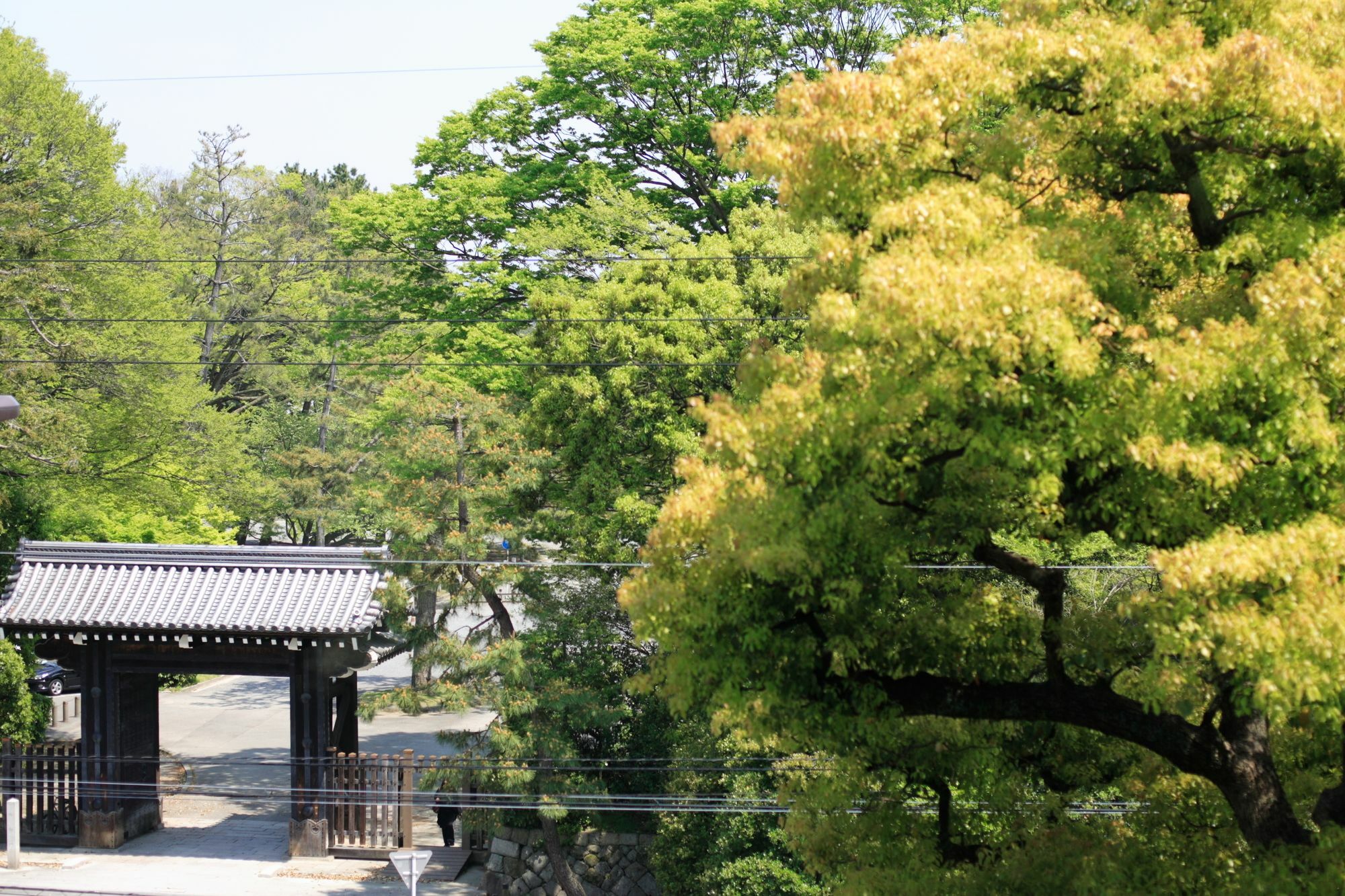 Kyoto Garden Palace Eksteriør bilde